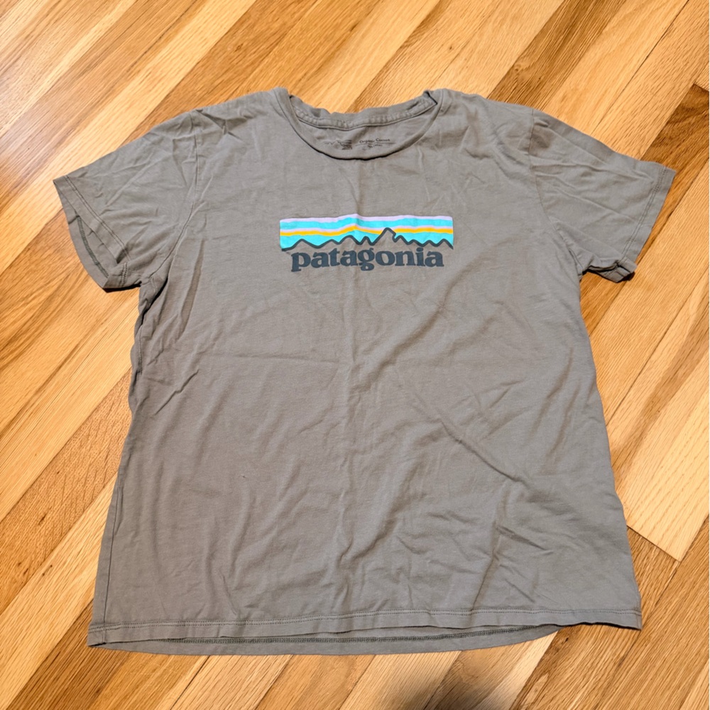 Patagonia Organic Cotton Gray T-Shirt